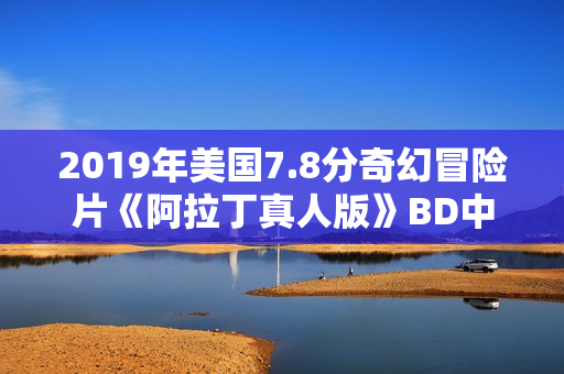 2019年美国7.8分奇幻冒险片《阿拉丁真人版》BD中英双字