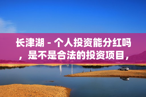 长津湖 - 个人投资能分红吗，是不是合法的投资项目，是不是骗局？(长津湖官方)