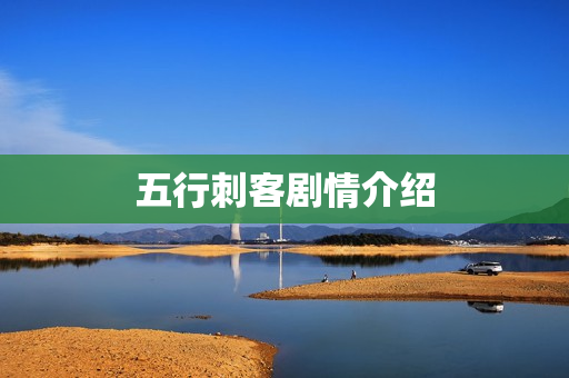 五行刺客剧情介绍