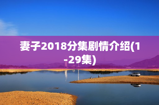 妻子2018分集剧情介绍(1-29集)