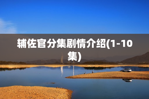 辅佐官分集剧情介绍(1-10集)