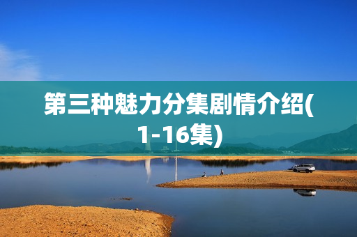 第三种魅力分集剧情介绍(1-16集)