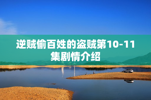 逆贼偷百姓的盗贼第10-11集剧情介绍
