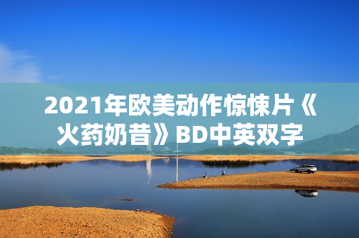 2021年欧美动作惊悚片《火药奶昔》BD中英双字