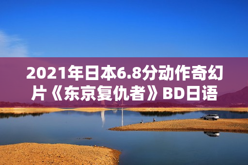 2021年日本6.8分动作奇幻片《东京复仇者》BD日语中字