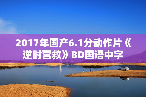 2017年国产6.1分动作片《逆时营救》BD国语中字