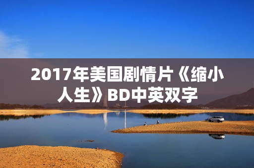 2017年美国剧情片《缩小人生》BD中英双字