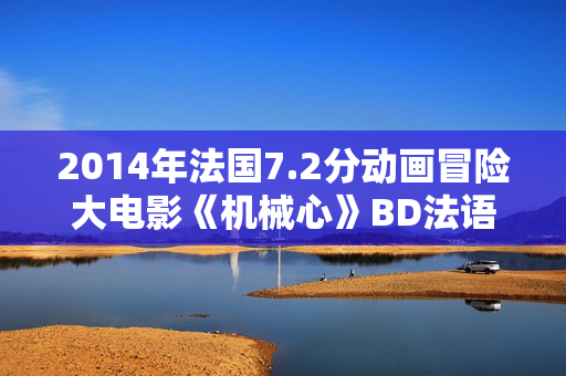 2014年法国7.2分动画冒险大电影《机械心》BD法语中字