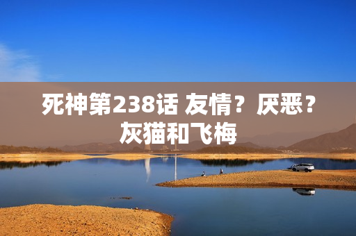 死神第238话 友情？厌恶？灰猫和飞梅