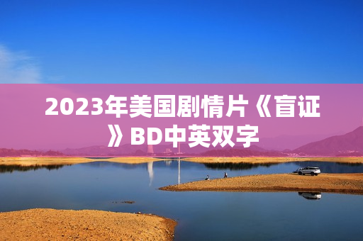 2023年美国剧情片《盲证》BD中英双字