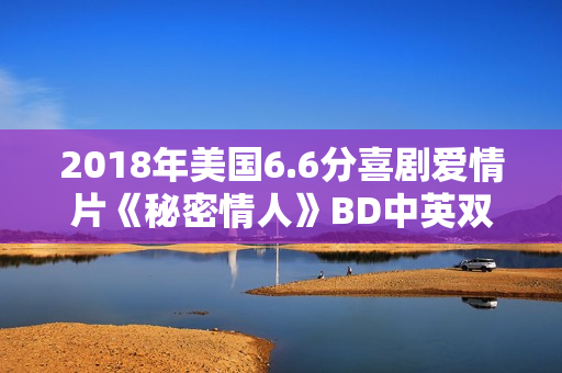 2018年美国6.6分喜剧爱情片《秘密情人》BD中英双字