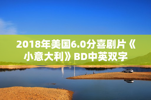 2018年美国6.0分喜剧片《小意大利》BD中英双字
