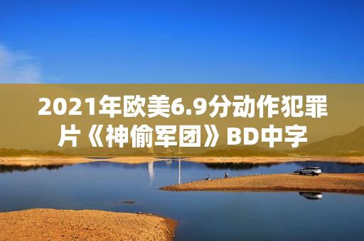 2021年欧美6.9分动作犯罪片《神偷军团》BD中字