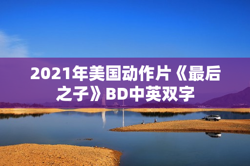 2021年美国动作片《最后之子》BD中英双字