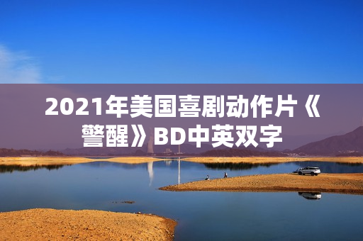 2021年美国喜剧动作片《警醒》BD中英双字