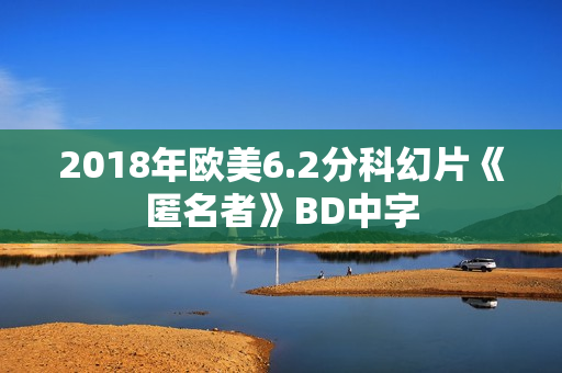 2018年欧美6.2分科幻片《匿名者》BD中字