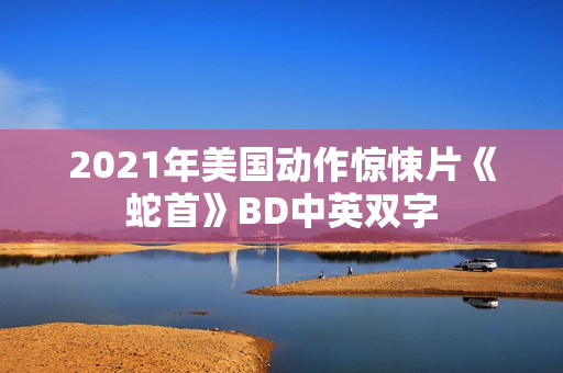 2021年美国动作惊悚片《蛇首》BD中英双字