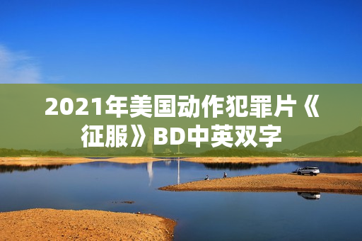 2021年美国动作犯罪片《征服》BD中英双字