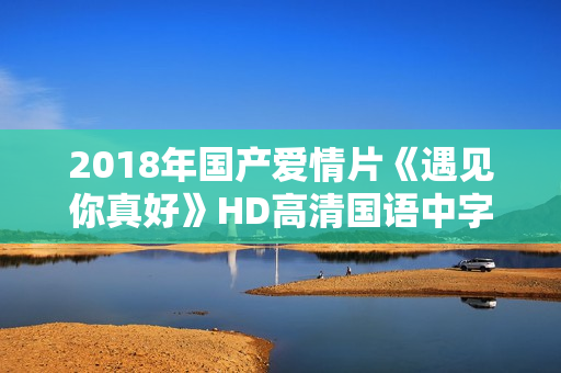 2018年国产爱情片《遇见你真好》HD高清国语中字