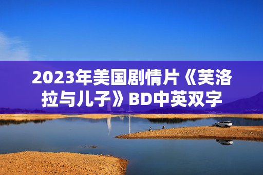 2023年美国剧情片《芙洛拉与儿子》BD中英双字 2023年美国剧情片《芙洛拉与儿子》BD中英双字