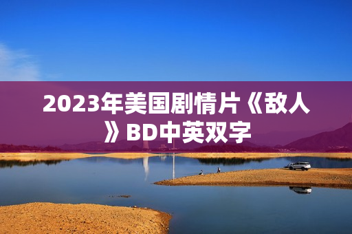 2023年美国剧情片《敌人》BD中英双字