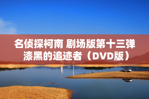 名侦探柯南 剧场版第十三弹 漆黑的追迹者（DVD版）