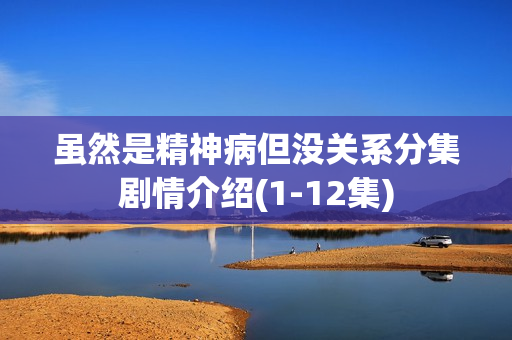 虽然是精神病但没关系分集剧情介绍(1-12集) 虽然是精神病但没关系分集剧情介绍(1-12集)