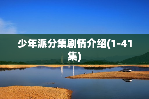 少年派分集剧情介绍(1-41集)