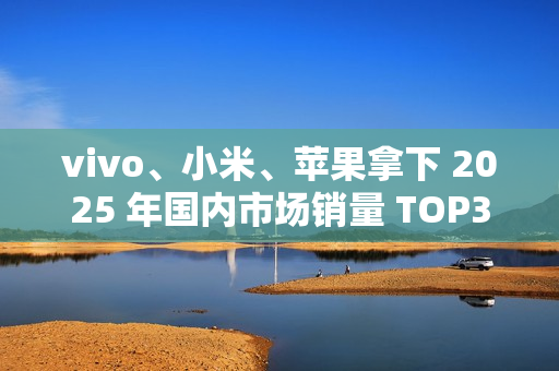 vivo、小米、苹果拿下 2025 年国内市场销量 TOP3，激活量超 4000 万