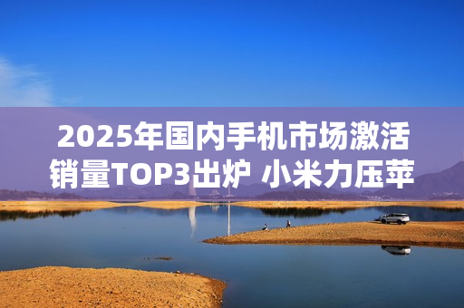 2025年国内手机市场激活销量TOP3出炉 小米力压苹果