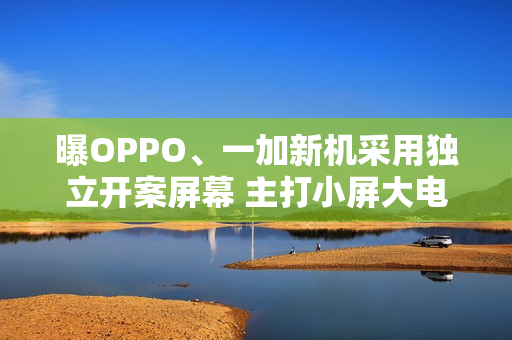 曝OPPO、一加新机采用独立开案屏幕 主打小屏大电池