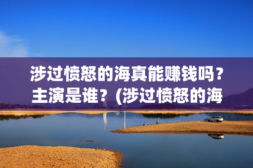 涉过愤怒的海真能赚钱吗？主演是谁？(涉过愤怒的海 海报)