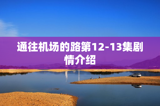 通往机场的路第12-13集剧情介绍