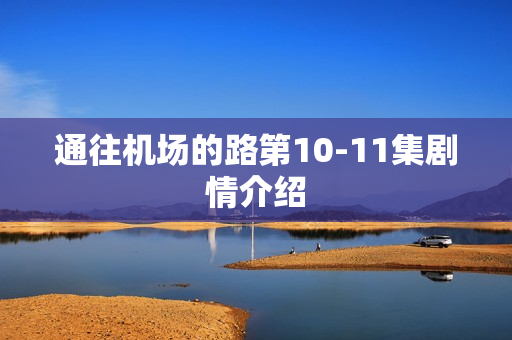 通往机场的路第10-11集剧情介绍