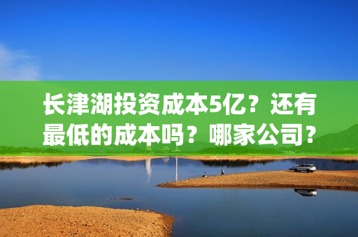 长津湖投资成本5亿？还有最低的成本吗？哪家公司？(长津湖 投资成本)
