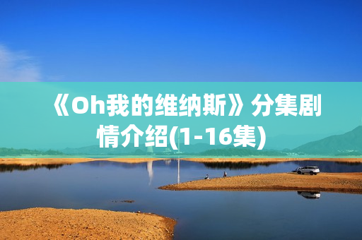  《Oh我的维纳斯》分集剧情介绍(1-16集)