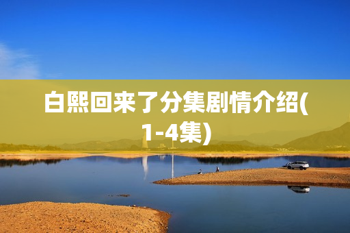 白熙回来了分集剧情介绍(1-4集)