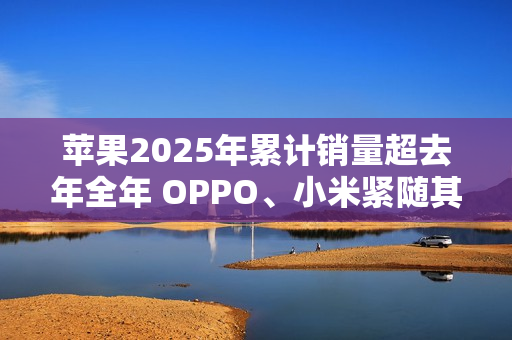 苹果2025年累计销量超去年全年 OPPO、小米紧随其后