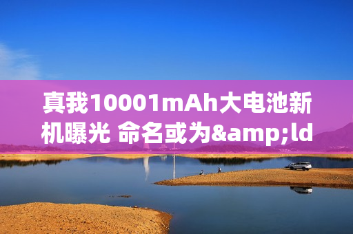 真我10001mAh大电池新机曝光 命名或为&ldquo;真我Power&rdquo;