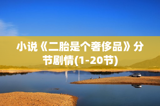 小说《二胎是个奢侈品》分节剧情(1-20节)