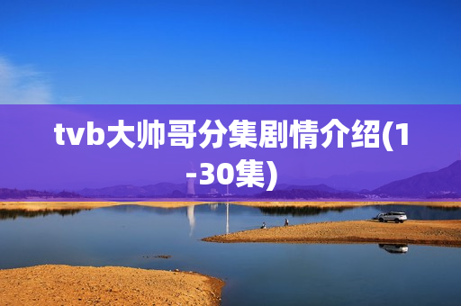 tvb大帅哥分集剧情介绍(1-30集) tvb大帅哥分集剧情介绍(1-30集)