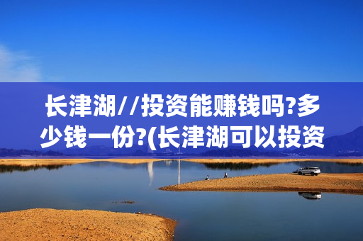 长津湖//投资能赚钱吗?多少钱一份?(长津湖可以投资吗)