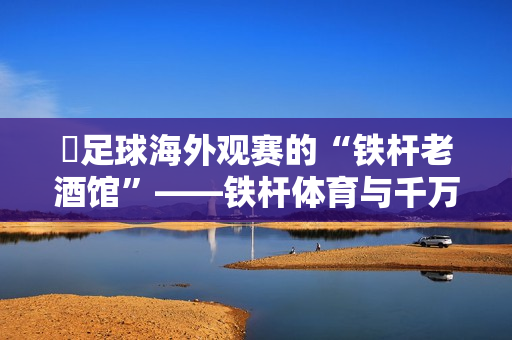 ​足球海外观赛的“铁杆老酒馆”——铁杆体育与千万球迷的十年