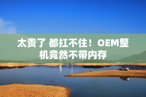 太贵了 都扛不住！OEM整机竟然不带内存
