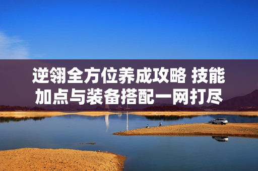 逆翎全方位养成攻略 技能加点与装备搭配一网打尽