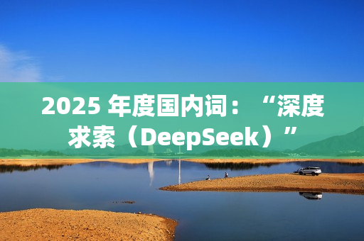 2025 年度国内词：“深度求索（DeepSeek）”