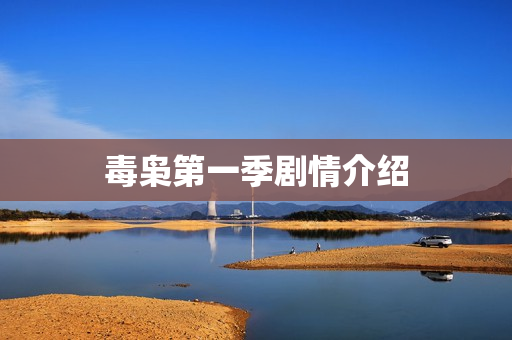 毒枭第一季剧情介绍