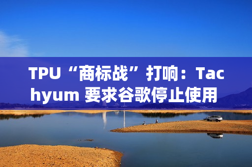 TPU“商标战”打响：Tachyum 要求谷歌停止使用 TPU 缩写
