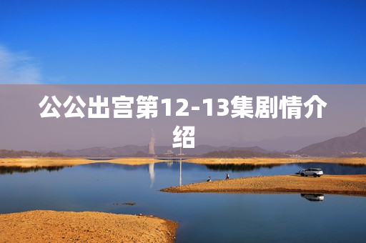 公公出宫第12-13集剧情介绍 公公出宫第12-13集剧情介绍