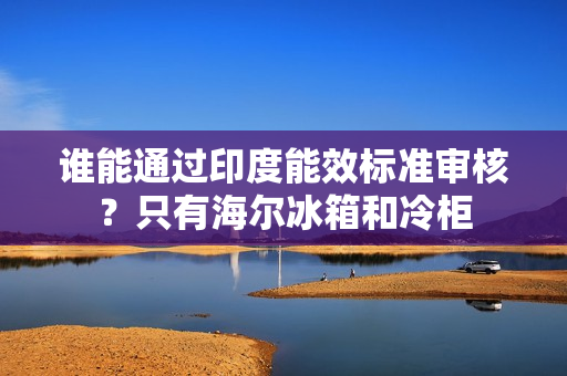 谁能通过印度能效标准审核?只有海尔冰箱和冷柜 谁能通过印度能效标准审核?只有海尔冰箱和冷柜
